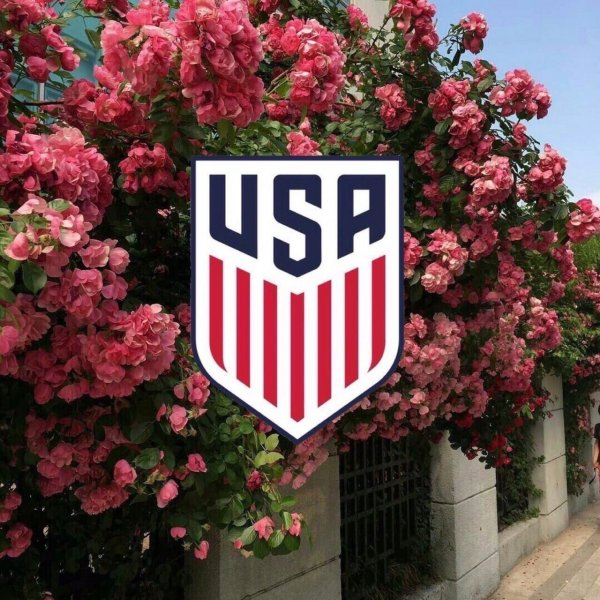 USA на фоне цветов