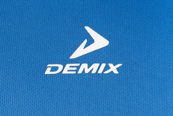 Демикс лого