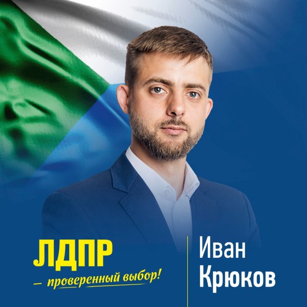 ЛДПР выборы