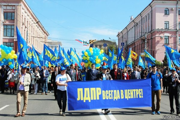 Политическая партия ЛДПР