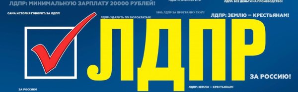 Голосуй за ЛДПР