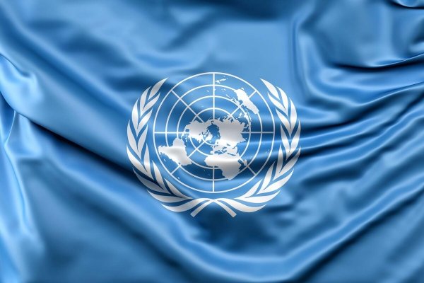 Организация Объединённых наций / United Nations.