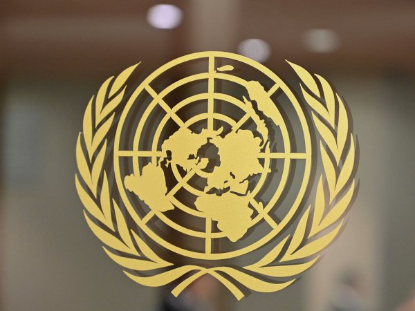 Совбез ООН эмблема