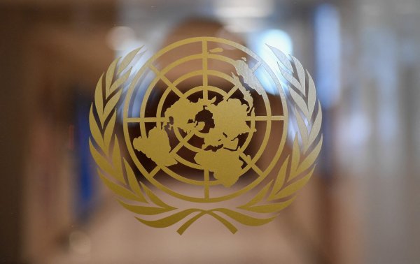 Эмблема ООН фото