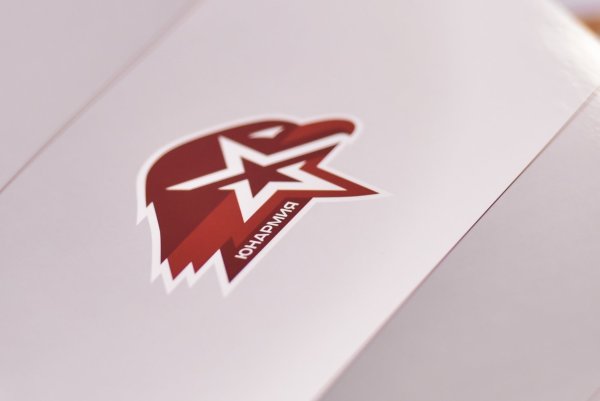 Юнармия эмблема