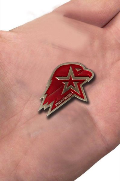 Значок юнармейца