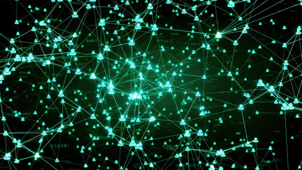 Цифровая паутина