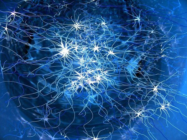 Искусственная нейронная сеть