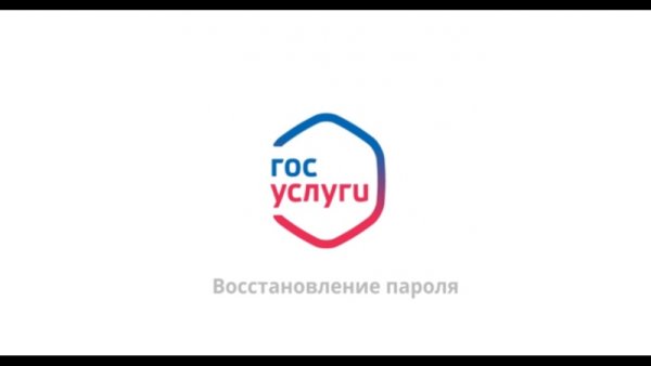 Госуслуги логотип для сайта