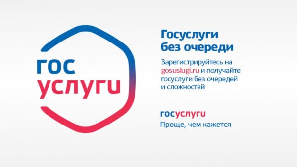 Госуслуги без очереди