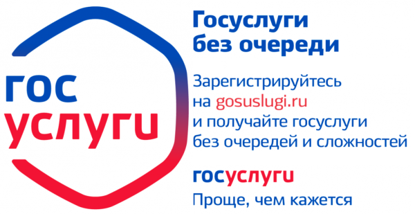 Госуслуги без очереди