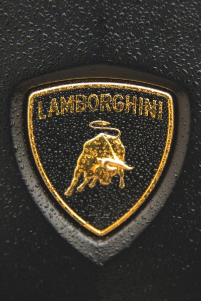 Логотип Ламборджини Хуракан