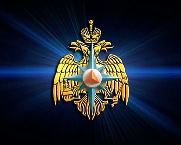 Значок МЧС