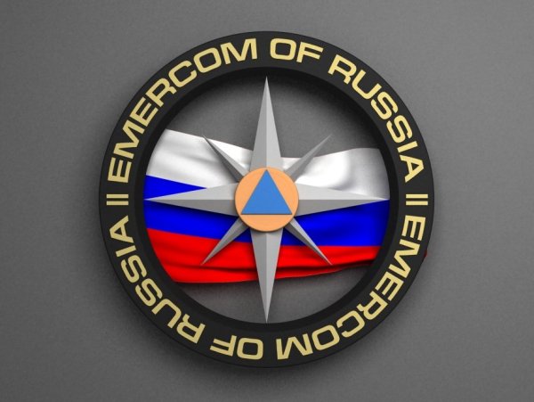 Эмблема МЧС