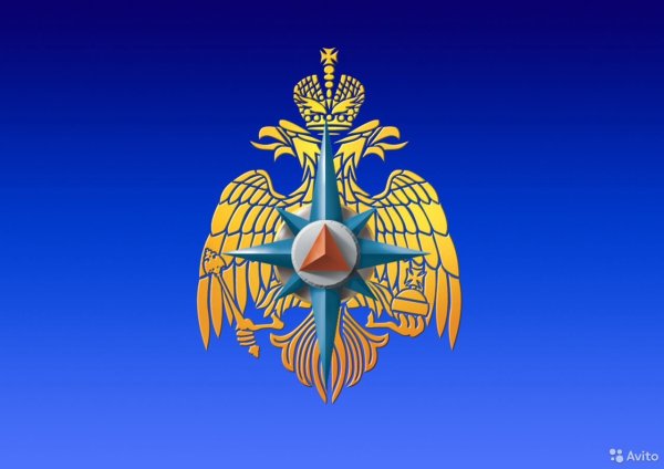 МЧС СПБ логотип