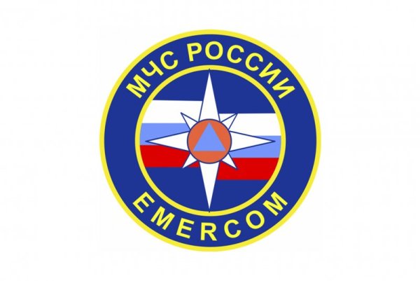 Эмблема МЧС круглая