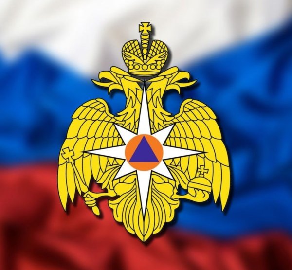 МЧС логотип