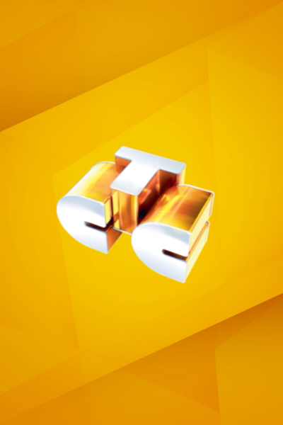 СТС логотип 2008