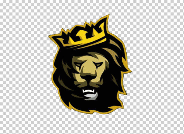 Эмблема Льва на одежде