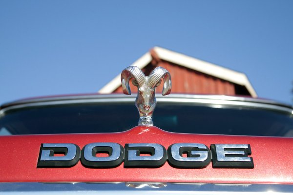 Шильдик dodge
