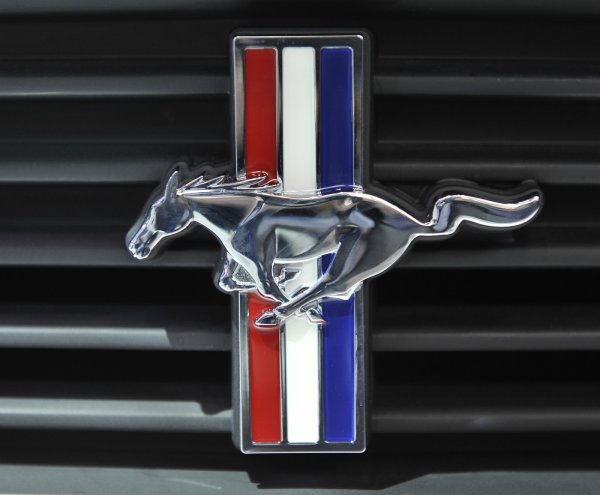 Шильд Mustang