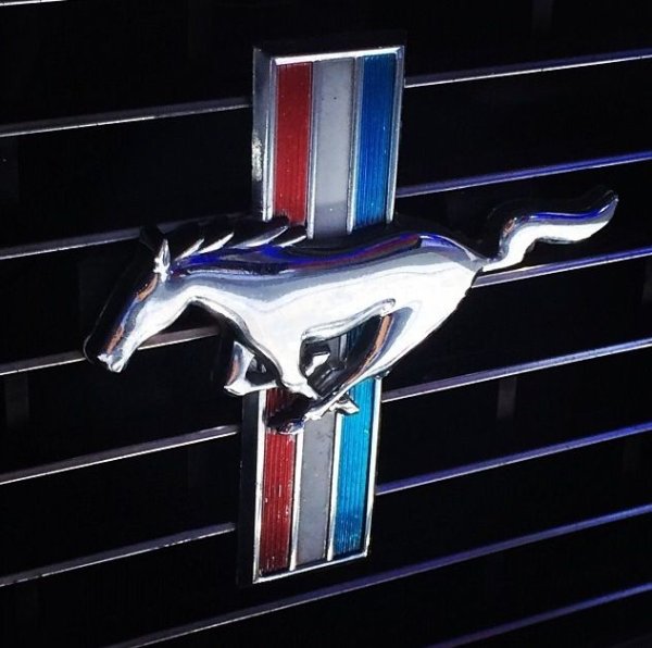 Mustang надпись