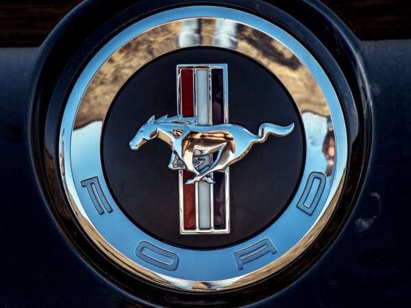 Эмблема Форд Мустанг