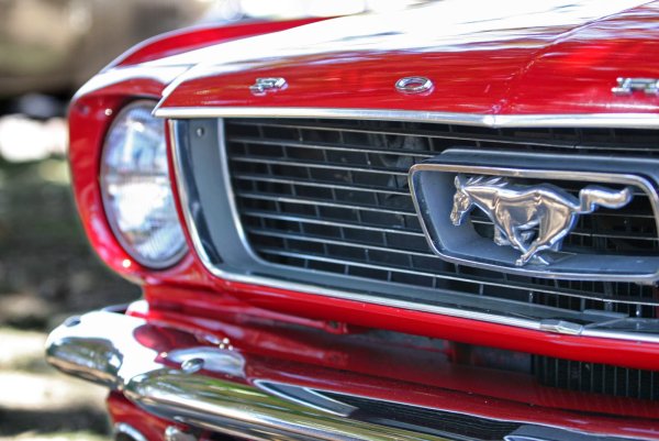 Эмблема Мустанга с фарами