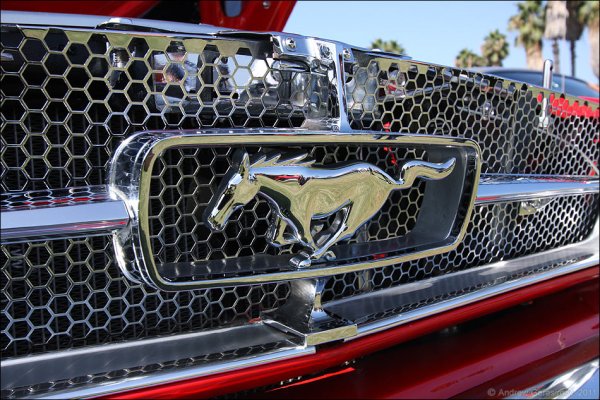 Значок Форд gt