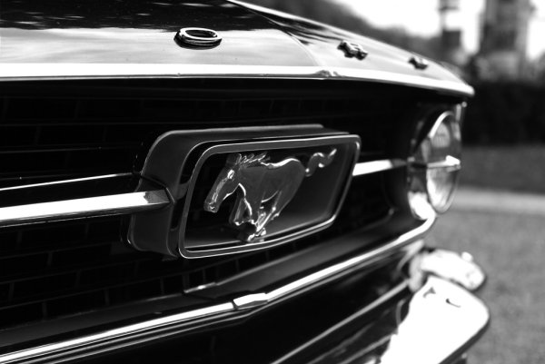 Ford Mustang logo