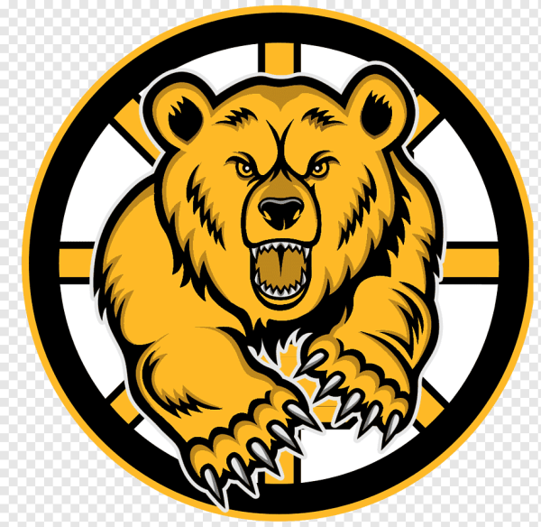 Бостон Брюинз медведь