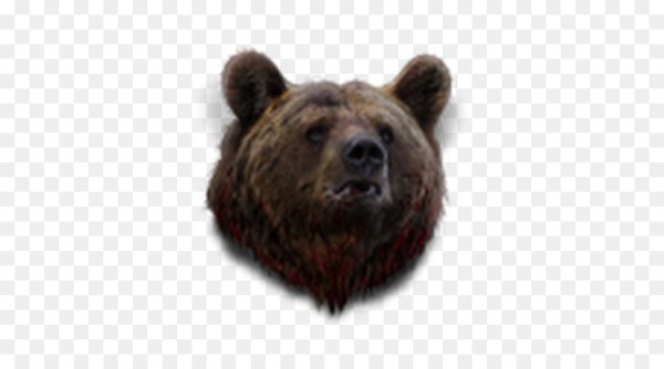 Лицо медведя без фона