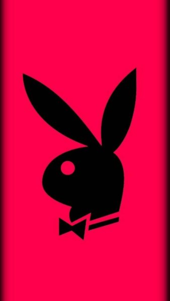 Логотип журнала плейбой