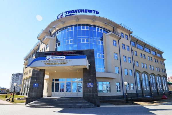 Транснефть Дальний Восток логотип