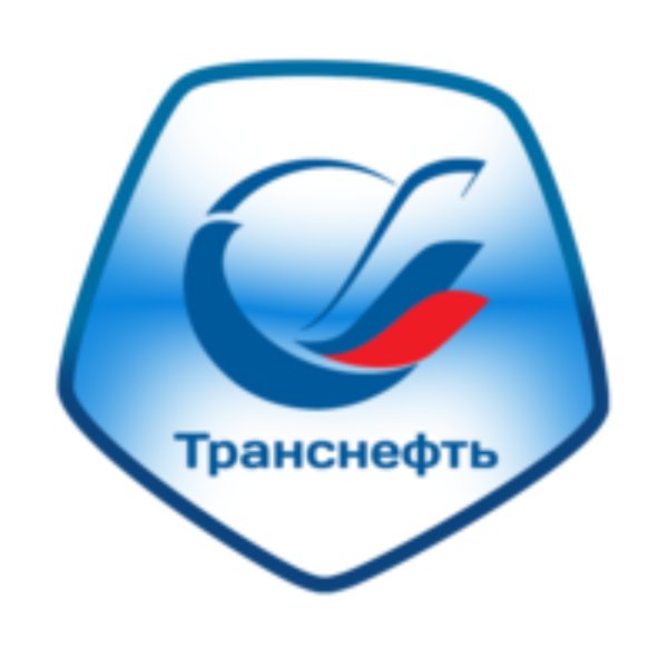 Транснефть терминал логотип