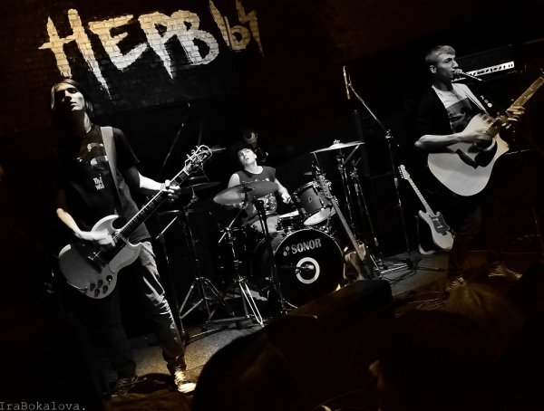 Группа нервы