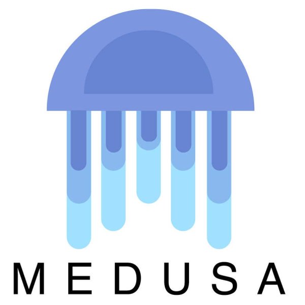 Медуза СМИ логотип