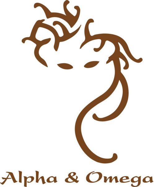 Медуза Горгона Версаче