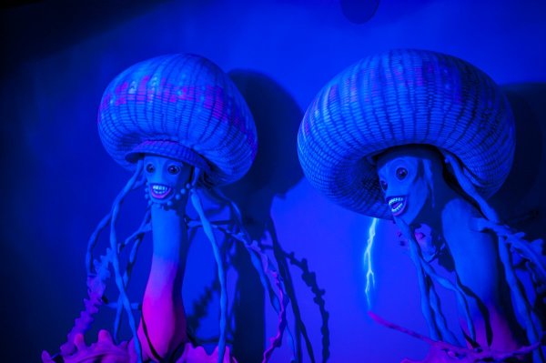 Медуза лого