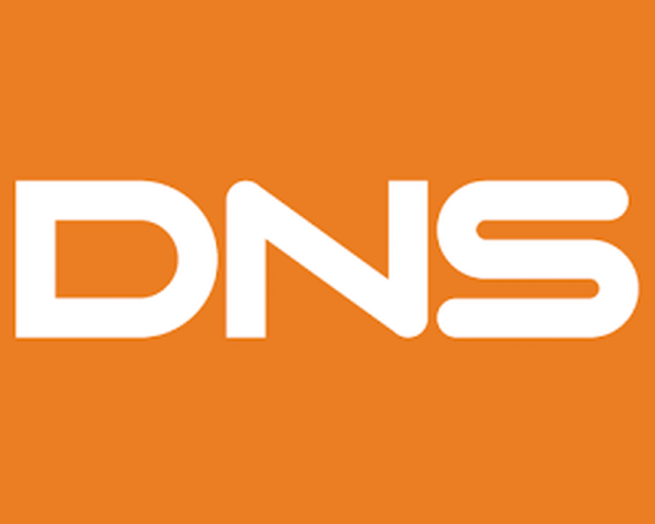 DNS логотип