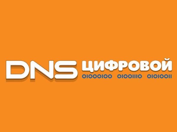 Эмблема ДНС