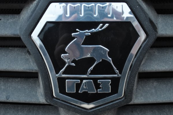 Волки на ворота газели