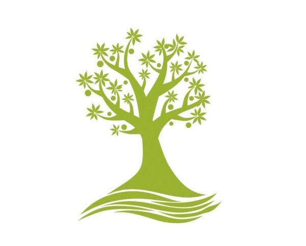 Волшебное дерево логотип