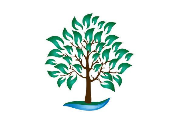 Логотип одежды дерево