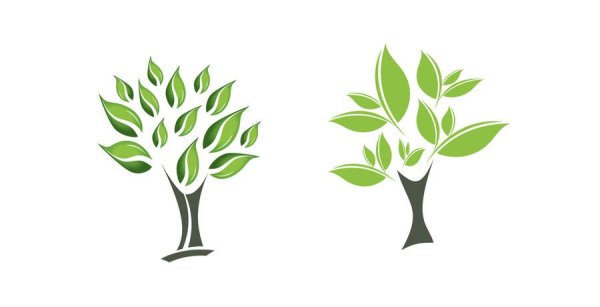 Логотип дерево