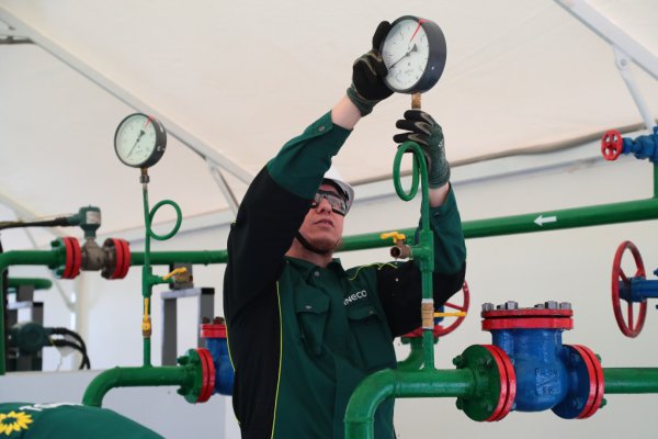 Татнефть имени в.д Шашина