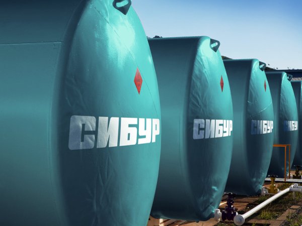 Сибур Нефтехим логотип