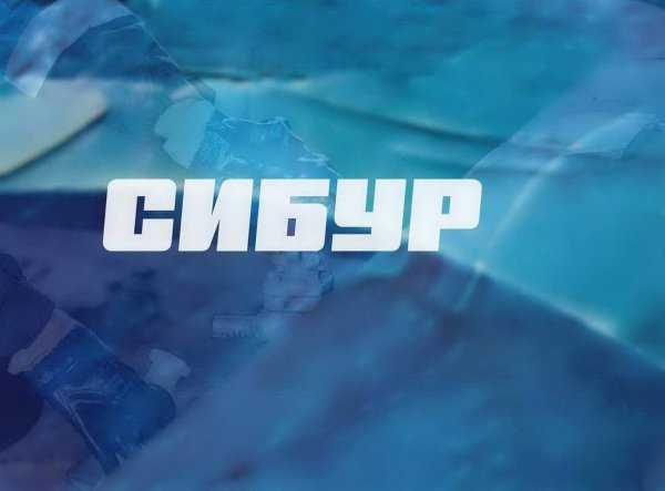 Сибур эмблема