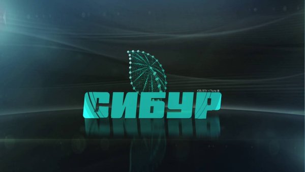 Сибур Холдинг лого