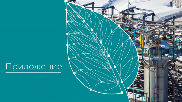 Сибур презентация